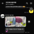 주견야독 이미지