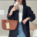 라탄 가방 브랜드 추천 라피아백 위시리스트 (아르켓 드래곤디퓨전 paris 빌라501)