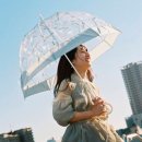 더블유피시(WPC) 이미지