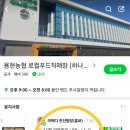 용현농협하나로 이미지