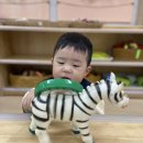 늘찬3.4반) 얼룩말 줄무늬를 만들어보아요 🦓 이미지