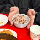 영철이네 - 연수구 경원대로467번길 19 | 인천 부평 노포 술집 추천 영철이네 포장마차 내돈내산