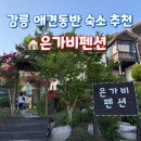 강릉 애견동반 숙소 추천 은가비펜션 내돈내산 후기, 바베큐