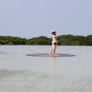 하늘연못 이미지