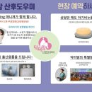 닥터맘 이미지