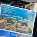 B.B3 | 안산 홀리데이캠핑파크 대부도점 바다전망 B존 명당 후기