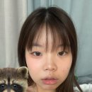 헌이스테이크 | 매해의 시작은 1월로