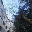 산호아파트 놀이터 이미지