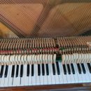 영창식당 이미지