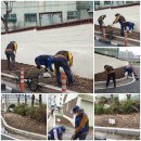 둔전8리 이미지