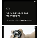 상완 | 그립볼운동 추천 상완 요금 전완근, 자이로볼