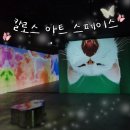 칼로스아트스페이스 이미지
