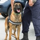 탑동물병원 이미지