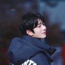 보민