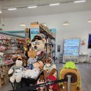 주식회사 뉴대한렌트카 | 제주 여행 렌트카 더세이프렌터카 모닝 슈퍼무제한자차 내돈내산 후기(돌하루팡), 수목원길 야시장