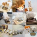 먹고가개 이미지