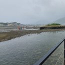 다대스파 이미지