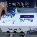 상록수농원 이미지