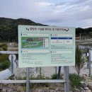 [보은여행] 서원계곡캠핑장 &#39;속리산풍경&amp;캠핑장&#39; 낭만 가득한 찐 후기!