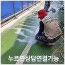 계양경기장 인라인스케이트장 | 인라인스케이트장 경계석높이 낮추기