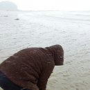 씨싸이드하우스