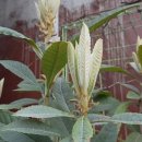 새순카센타 이미지