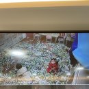 세종시 보람동 미술로 생각하기 :: 8개월 수업 후기
