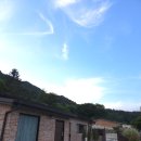 스테이담안 이미지