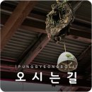 풍경 소리 민박 이미지