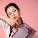 로지트리 이미지