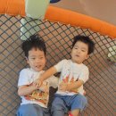 지에스(GS)25 양천신정점 | 서울형키즈카페 양천구 신트리공원점/미태리 양천구청점/신세계백화점타임스퀘어점