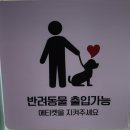안녕, 강아지 | 🐶 구미 고아읍 애견동반 카페 어나더데이 후기