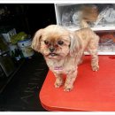 추어탕전문점 대령숙수 이미지