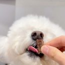 바른생고기정육점 소풍정육식당 이미지