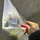 소담오향족발(본점) 이미지