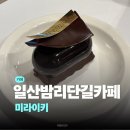 미라이키 | 일산 밤리단길 케이크 미라이키 내돈내산 후기 | 일산케이크