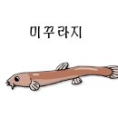 오늘은추어탕 이미지