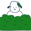 H-에비뉴 광안리해변점 이미지