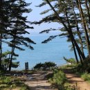 솔향기공원 이미지