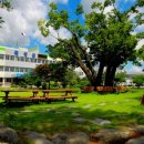 곡성 국악전수관 이미지