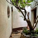 미로여인숙 이미지