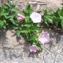 정각사입구 이미지