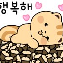 굿모닝가스설비