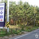 연포해수욕장(송림) 이미지