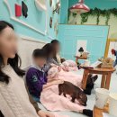 돼지카페 | 일본 후쿠오카 이색체험 - 미피그(mipig) 돼지카페 이온몰점 후기