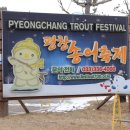 평창송어축제 알펜시아 오션700 할인60% 받은 후기