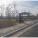 꿈나무(소공원) 이미지