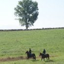 서정목장 이미지