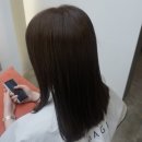 마지아헤어 이미지