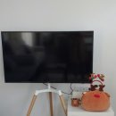 마운틴262 이미지